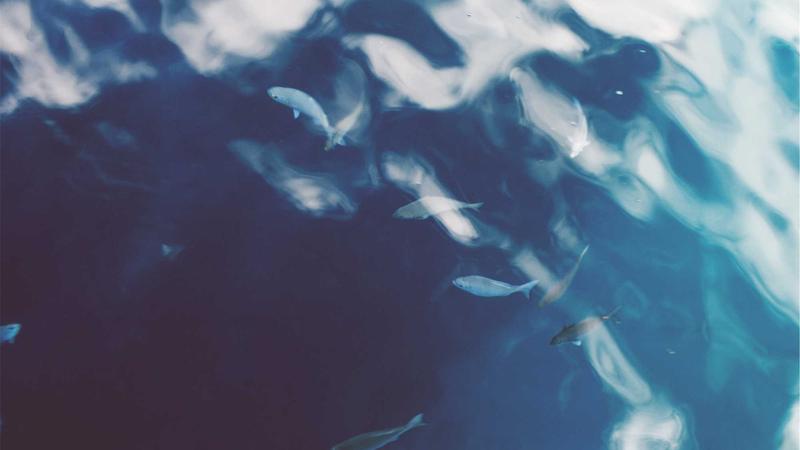 ky棋牌关于我们主视觉图